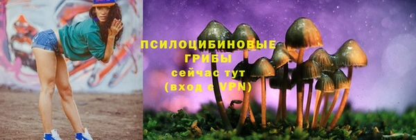 гашиш Каменка