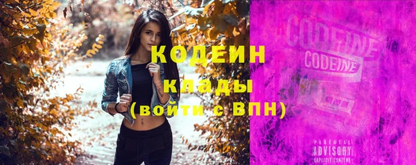 гашик Костерёво